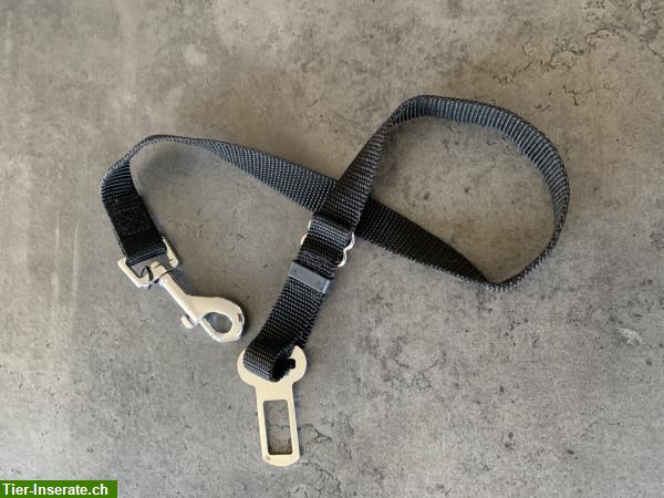 Bild 8: Diverse Hundeleinen und Hunde Halsbänder zu verkaufen