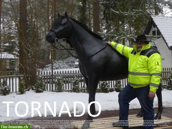 Bild 1: Deko Pferd Horse lebensgroß - Modell Tornado belastbar bis 100kg