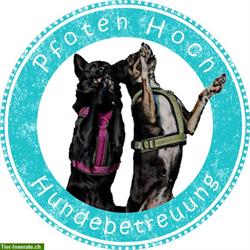 Hundebetreuung Pfoten Hoch in Niederhasli, ZH-Unterland