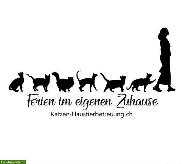 Bild 1: Katzenbetreuung bei ihnen Zuhause: In und um die Stadt Zürich