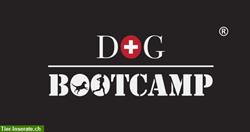 Dog Bootcamp Zürcher Oberland / Sport & Spass