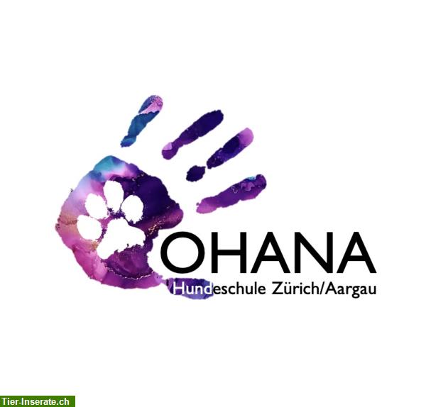 Bild 2: Hundetraining | Hundeschule OHANA Zürich & Aargau