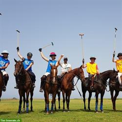 International Polo and Horse Summer Camp, Andalusia/Spain