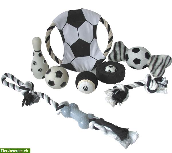 Bild 1: Hundespielsachen - 6-teilig diverses Zubehör zum Spielen