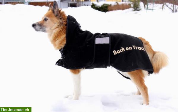 Bild 1: Hundedecke 23cm Back on Track Hundemantel / Hundedecke Standardmantel