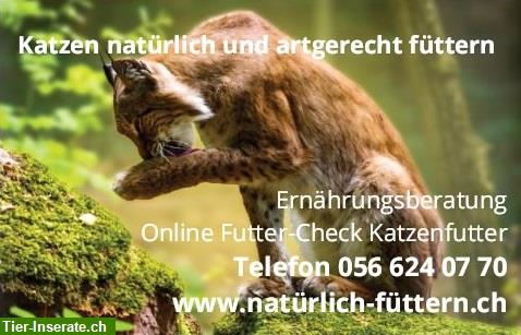 Bild 1: Katzenfutter Test Schweiz | Katzenfutter testen | Futter-Check Katze