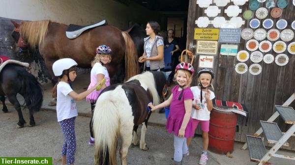 Reitpädagogik und Freizeitgestaltung mit dem Pferd für Kinder