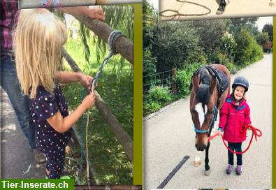Bild 5: Erlebniswoche/Reitlager rund ums Pferd, für Kinder ab 8 Jahren