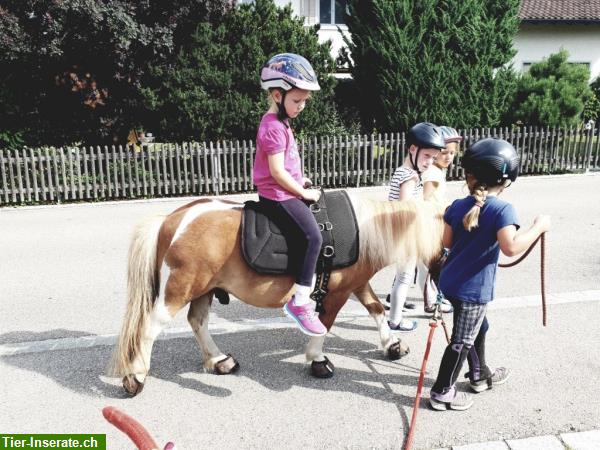 Bild 2: Kinder Erlebnis Ponynachmittag im Thurgau