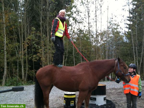 Bild 2: Erlebnis-Tag mit Pferden im Appenzellerland