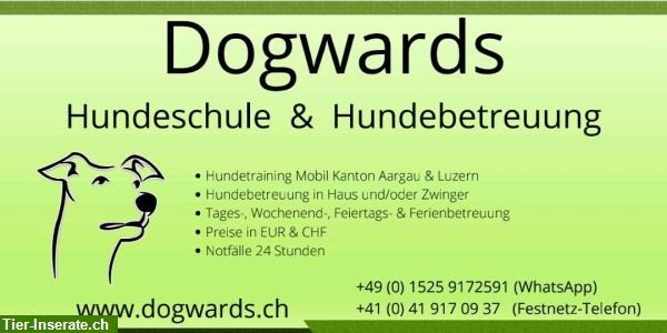 Dogwards - Hundeschule im LU und AG