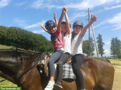 Reitpädagogik für Kinder | Begegnung mit dem Pferd