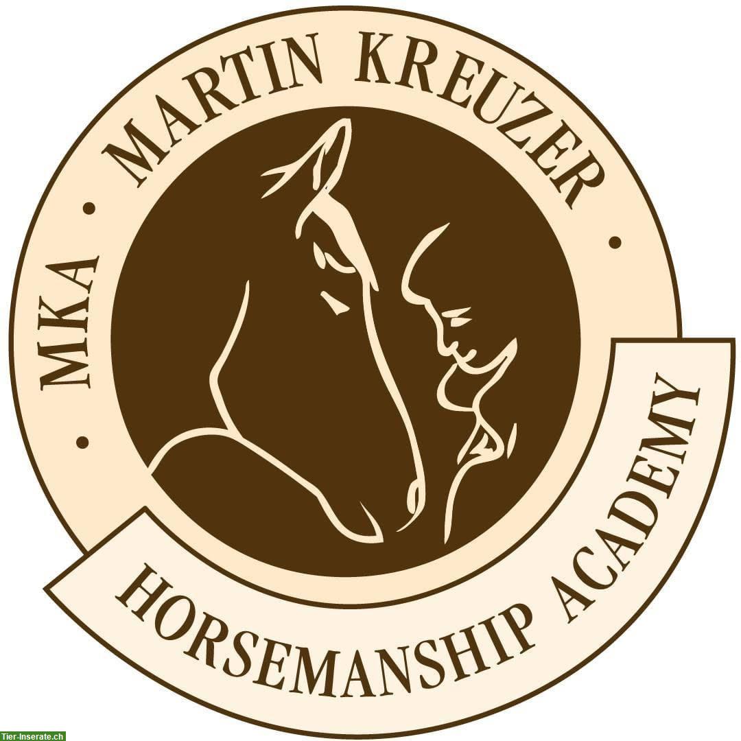 Bild 1: Rainbow Horse | MKA Horsemanship, Reittherapie, weitere Angebote