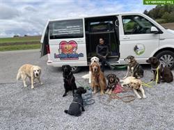 Biete FBA Pratikumplätze in Hundebetreuung in Bülach