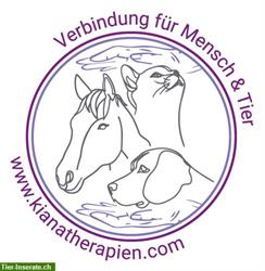 Fernreiki-Behandlungen & Tierkommunikation