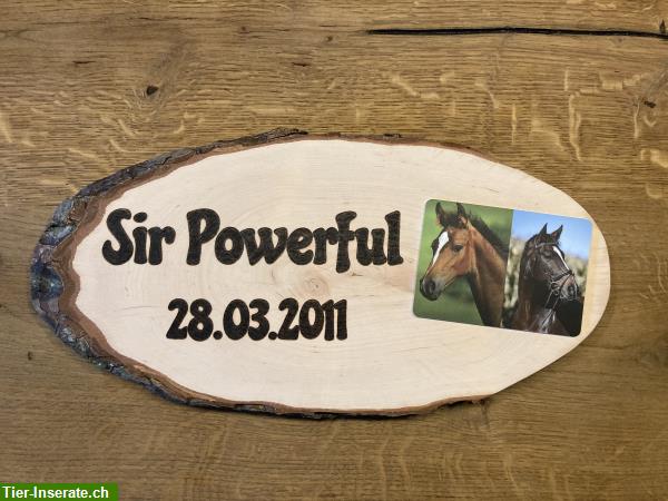 Bild 3: Individuelle Boxenschilder für dein Pferd/Pony