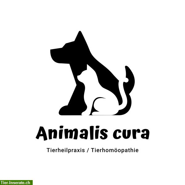 Bild 9: Tierhomöopathie Tierheilpraxis - animalis-cura.ch
