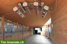 Bild 2: Grosse Auslaufboxen in Schaan, Liechtenstein
