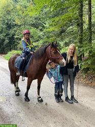 Horsemanship, Bodenarbeit & Reiten für Kinder & Erwachsene