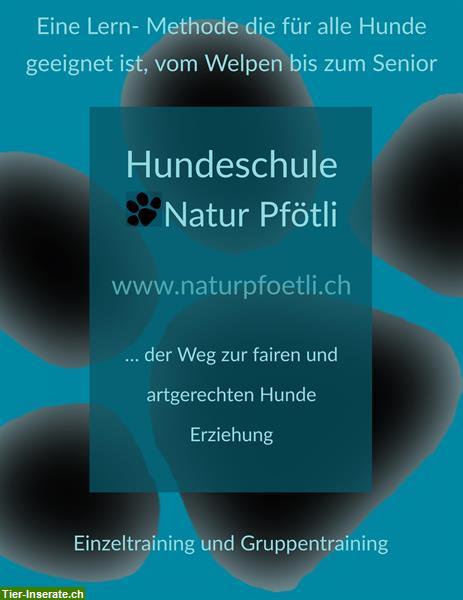 Bild 1: Hundeschule Natur Pfötli in der Umgebung Solothurn