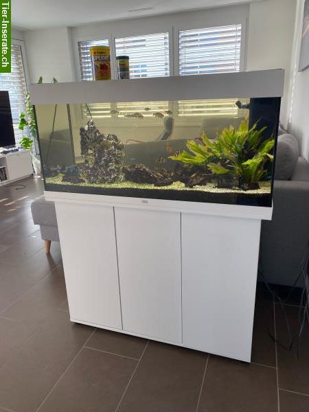 Bild 4: Aquarium Juwel 180 Liter / 2 Aquarien zu verkaufen