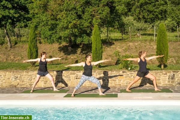 Bild 3: Yoga, Reiturlaub, Wandern in der wildromantischen Toskana