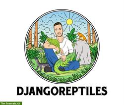 DjangoReptiles Onlineshop für Terraristik Produkte