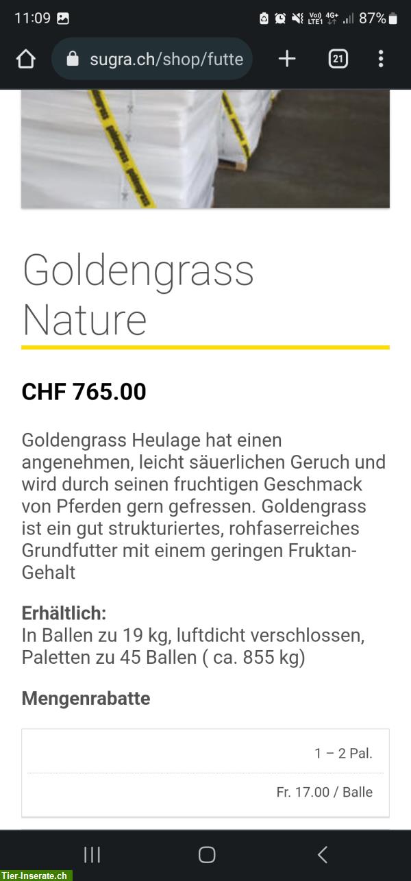 Bild 5: Haylage Goldengrass Nature 3 zu verkaufen