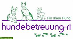 Hundehotel sucht Tierpfleger/in EFZ, 50% Pensum Fixlohn