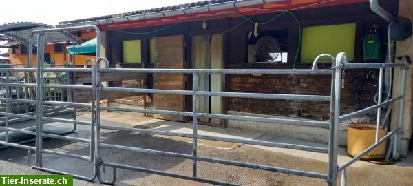 Bild 5: 6 Pferde Auslaufboxen frei im Gantrischgebiet