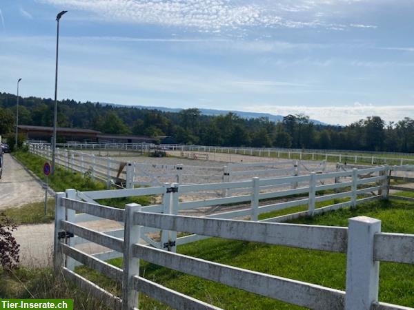 Bild 2: Vermieten Pferdeboxe im Aargau