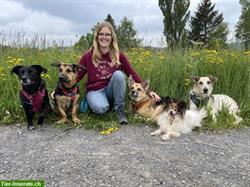 Hundetagesbetreuung, Spazierdienst & Kleintier Ferienbetreuung bei Ihnen zuhause