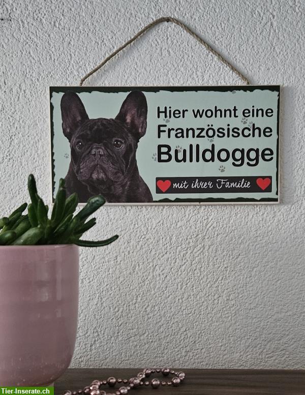Bild 2: Hunde Holzschild Französische Bulldogge