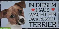 Hunde Holzschild Jack Russell Terrier