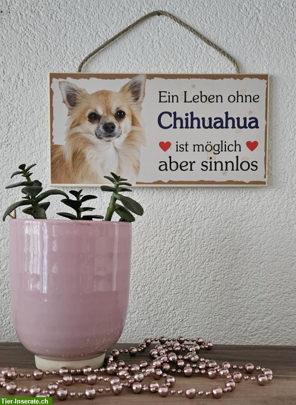 Bild 2: Hunde Holzschild Chihuahua mit Kordel zum Aufhängen