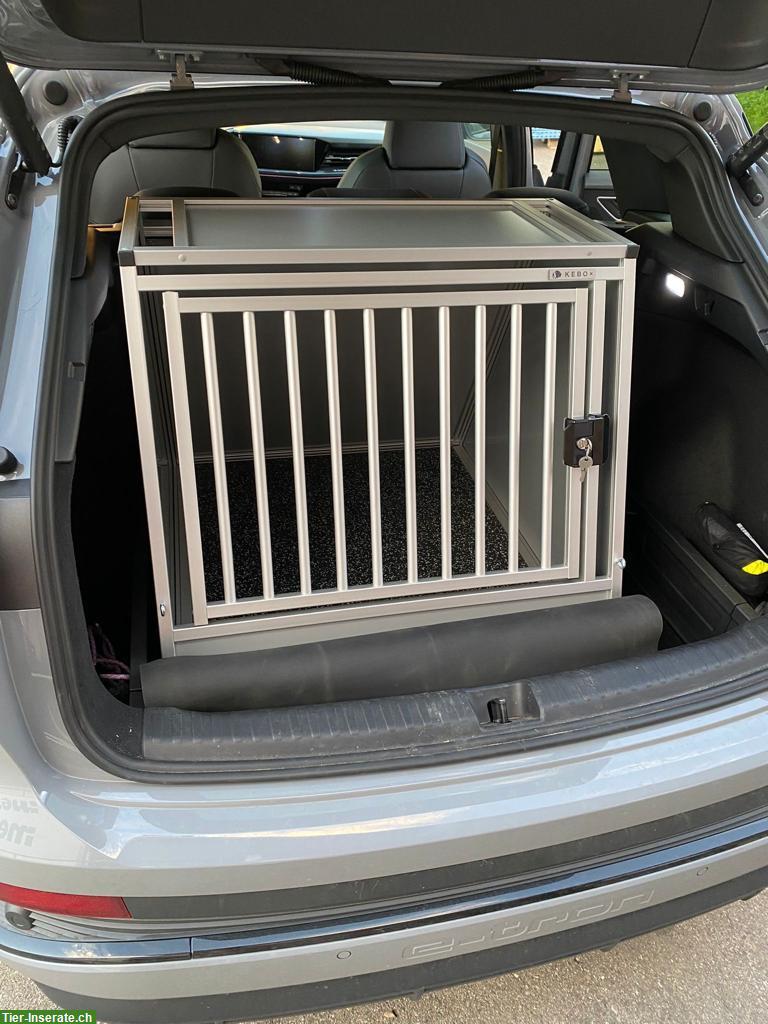 Bild 2: Massgeschneiderte Hundebox für Audi Q4 e-tron