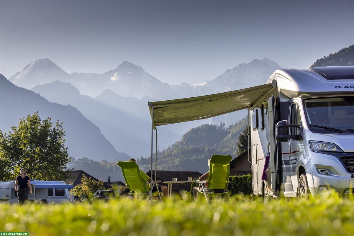 Bild 6: Camping mit Hund! JungfrauCamp im Berner Oberland