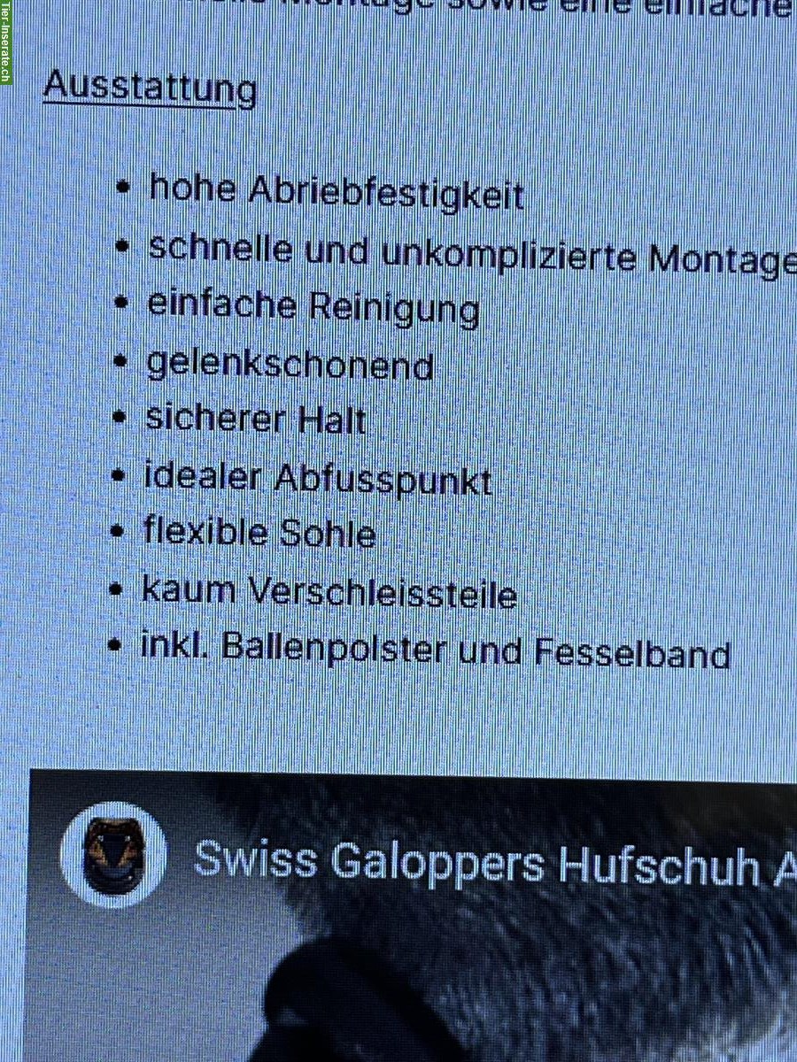 Bild 6: Hufschuhe Swiss Galoppers, neuwertig!