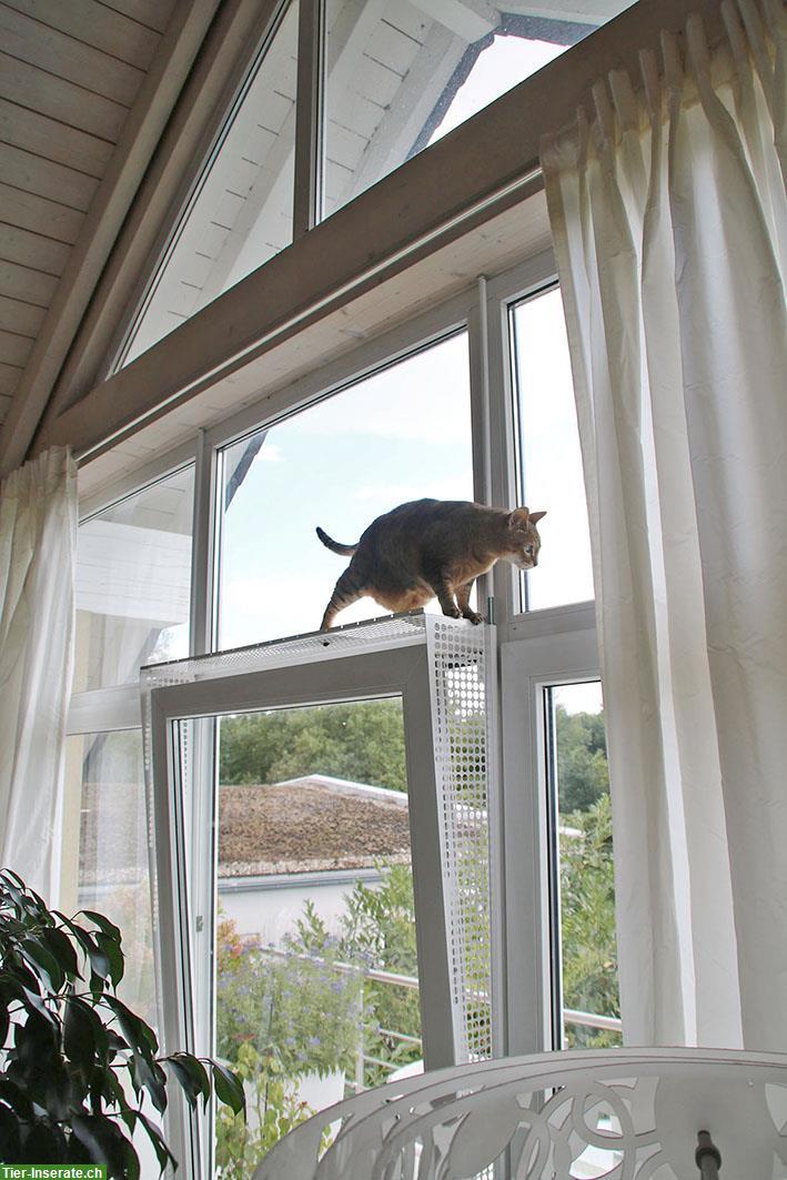 Bild 7: Kippfensterschutz Balkontür für Katzen, ohne Bohren & Kleben, System 8
