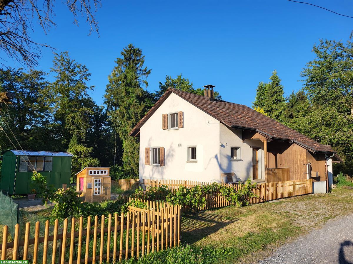 Bild 2: Vermieten Ferienhaus im Aargau, nähe Hallwilersee