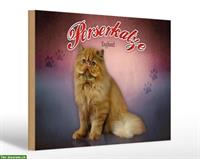 NEU: 🐱 Katzenschild Perser aus Holz