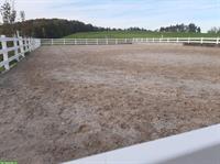 Pferdelaufstall mit Weiden zu vermieten in Bennwil BL
