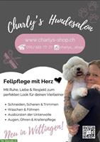 Charlys Hundesalon in Wettingen