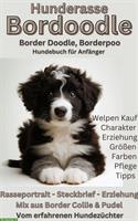 Borderdoodle: Alle Infos zur Border Collie x Pudel Mix Hunderasse